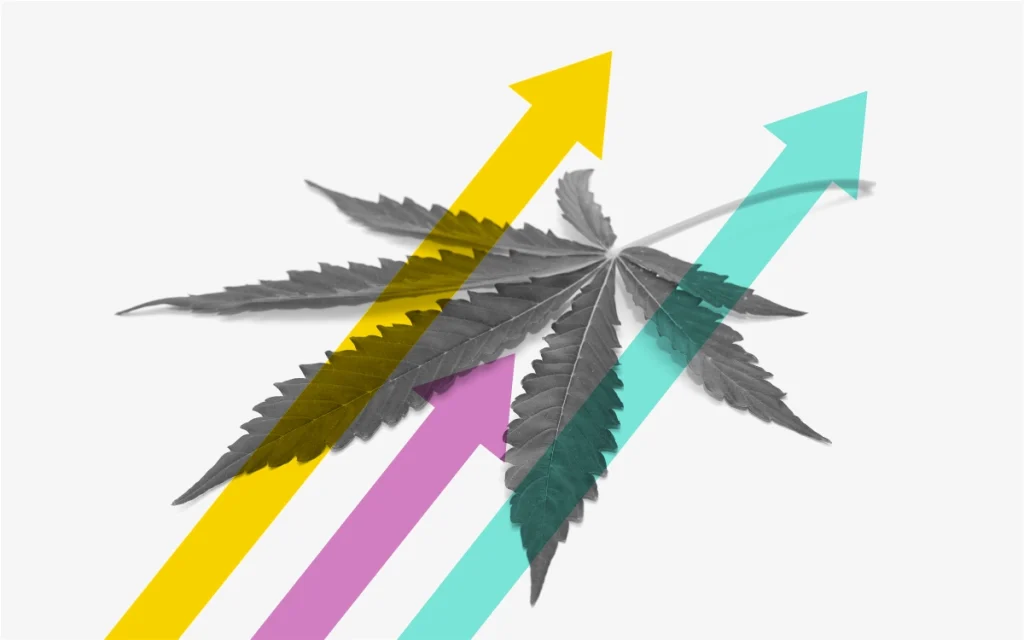 What Does the Future Look Like for Cannabis in the US?=